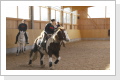 Klicken Sie auf das Bild, um es zu vergrößern