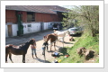 Klicken Sie auf das Bild, um es zu vergrößern
