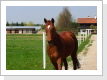 Klicken Sie auf das Bild, um es zu vergrößern